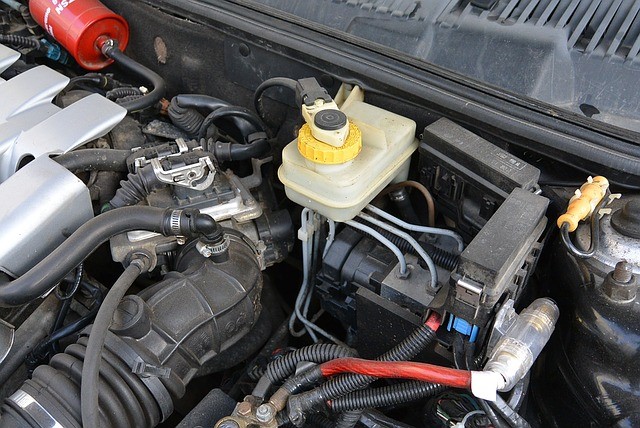Auto Transport Top Tips: Preparing your Car for Spring checking the fluids
